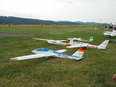 IMG 0695